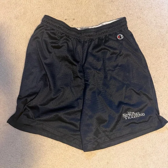 Disney Spring Training - Picture 1 of 1